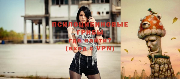 ALPHA PVP Алексеевка