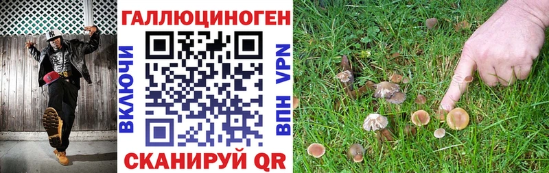 Псилоцибиновые грибы ЛСД  где купить наркоту  Бобров 
